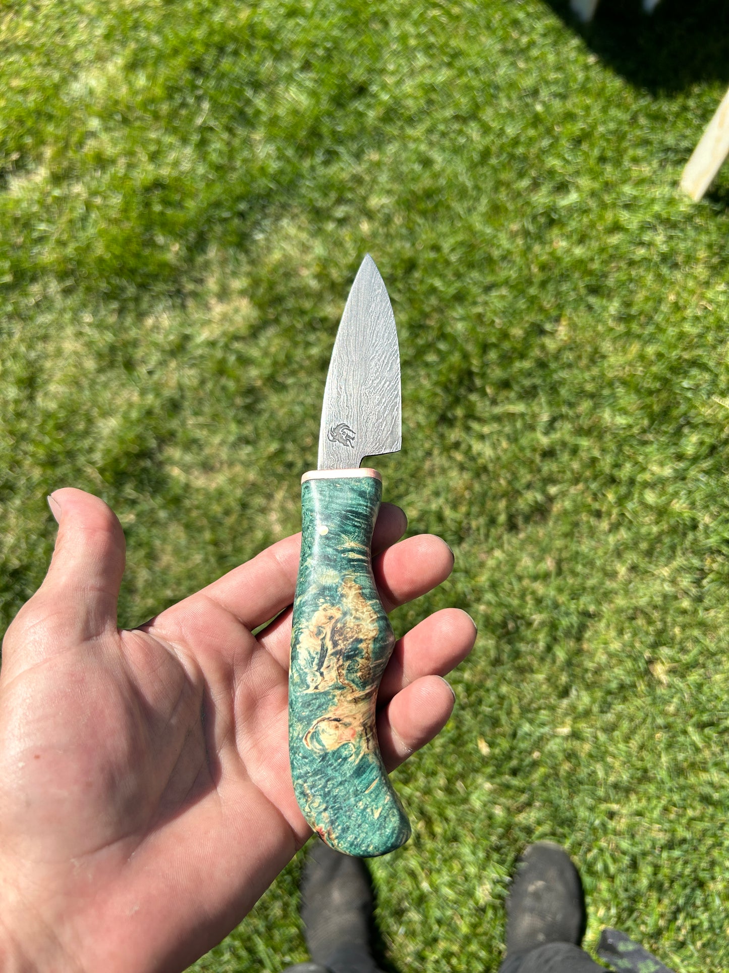 Forged 8” fire feather Damascus EDC